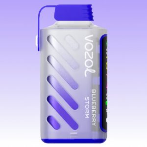 Vozol Gear Power 20000 Blueberry Storm