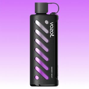 Vozol Gear Shisha 25000 Berry Mint