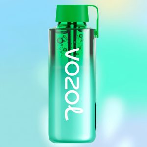 Vozol Neon 10000 Miami Mint Flavor