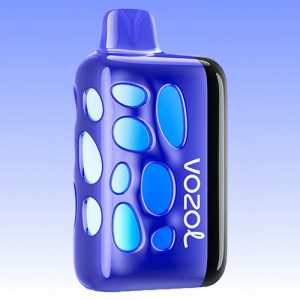 Vozol Rave 40000 Blueberry Ice Flavor