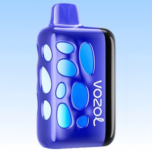 Vozol Rave 40000 Blueberry Watermelon Flavor