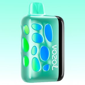Vozol Rave 40000 Cool Mint Flavor