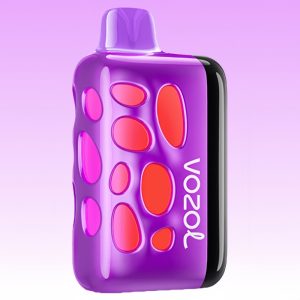 Vozol Rave 40000 Grape Ice Vape