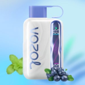 Vozol Star 40k Blueberry Mint