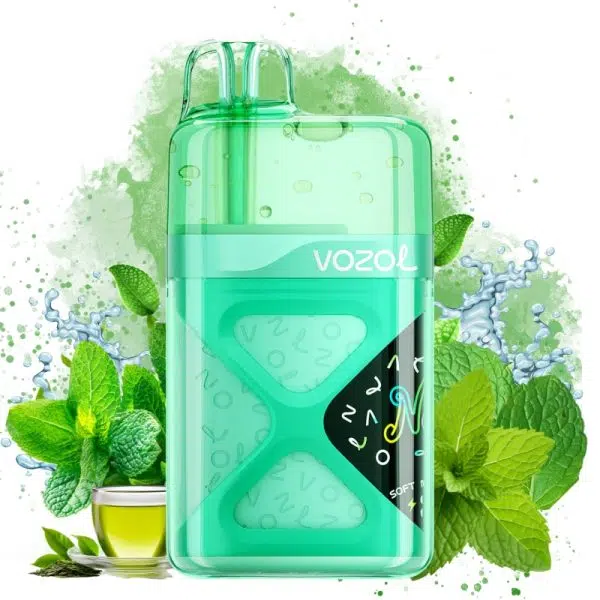 Vozol Neon 60000 Iced mint tea